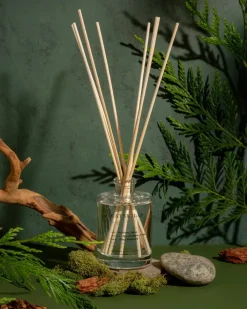 Brooklyn Candle Studio Reed Diffuser | Catskills