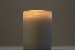 dilo candle No. 03 Tobacco + Cedar